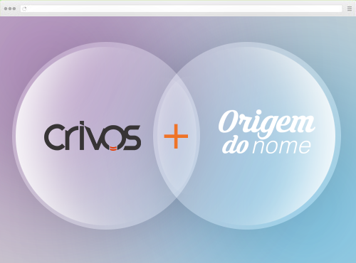 Criação de Sites - Origem do Nome